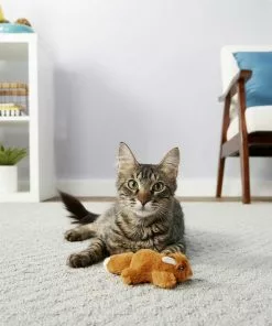 Weruva||Frisco Weruva Paw Lickin' Chicken in Gravy Grain-Free Canned Cat Food, 3-oz, case of 24 + Frisco Refillable Catnip Cat Toy, Brown Squirrel -Pet Food Gear Shop 298762 PT5. SY630 V1623200250