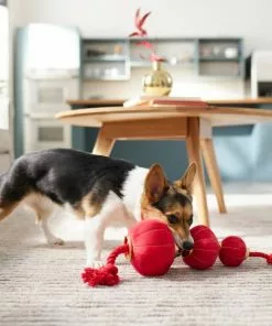 Frisco Lantern Plush with Rope Squeaky Dog Toy -Pet Food Gear Shop 298885 PT3. SY630 V1640269279