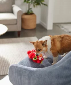 Frisco Dragon Bungee Plush Squeaky Dog Toy -Pet Food Gear Shop 298887 PT3. SY630 V1640269125