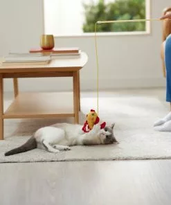 Frisco Flower & Koi Fish Teaser Cat Toy with Catnip -Pet Food Gear Shop 298895 PT3. SY630 V1640269154