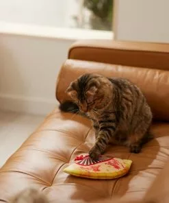 Frisco Fan Plush Squeaky Dog Toy 7 Frisco Fan Plush Squeaky Dog Toy -Pet Food Gear Shop 298911 PT3. SY630 V1640269039