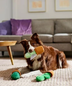 Frisco Cactus Plush Squeaky Dog Toy, 3 count 7 Frisco Cactus Plush Squeaky Dog Toy, 3 count -Pet Food Gear Shop 298921 PT3. SY630 V1638987259