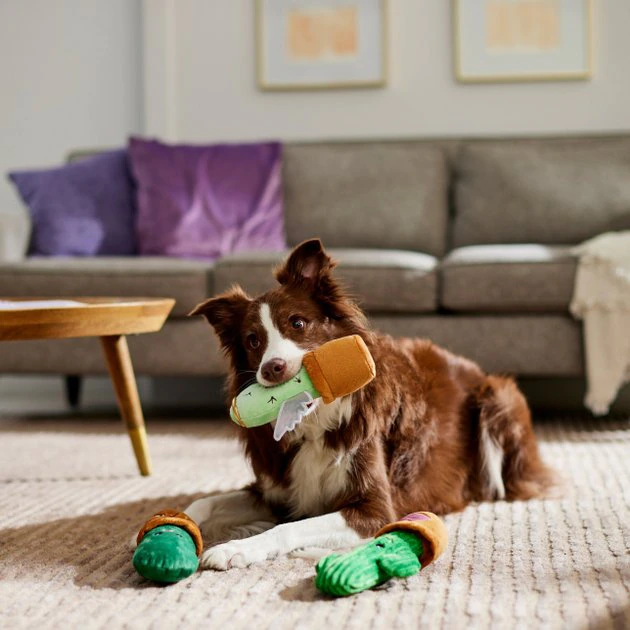 Frisco Cactus Plush Squeaky Dog Toy, 3 count 5 Frisco Cactus Plush Squeaky Dog Toy, 3 count - Image 3