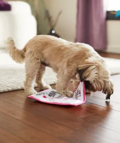 Frisco Valentine MASH Flat Plush Squeaky Dog Toy -Pet Food Gear Shop 298927 PT3. SY630 V1638987702