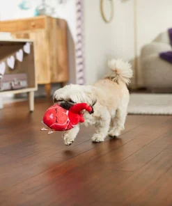 Frisco Anatomical Heart Plush Squeaky Dog Toy -Pet Food Gear Shop 298933 PT3. SY630 V1638987632