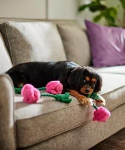 Frisco Roses Plush with Rope Squeaky Dog Toy, 3 count -Pet Food Gear Shop 298939 PT3. SY630 V1638987402