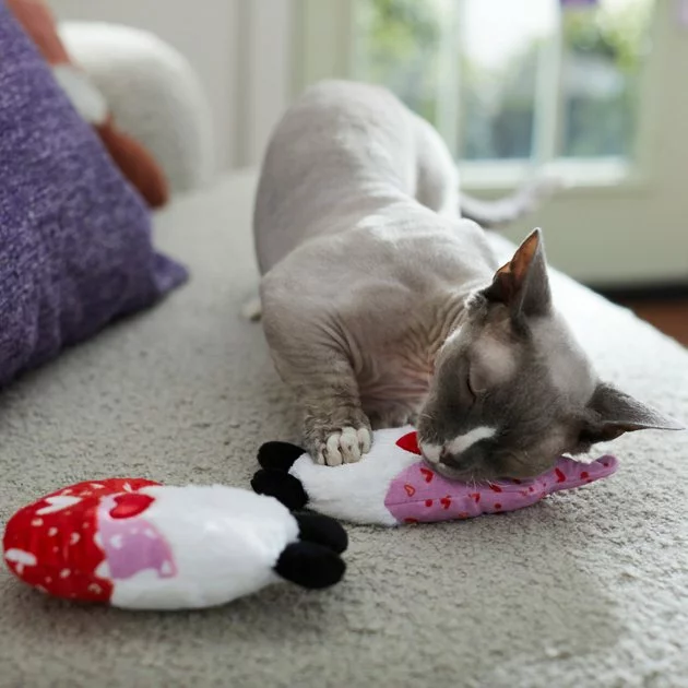 Frisco Gnomes Plush Cat Toy with Catnip, 2 count 5 Frisco Gnomes Plush Cat Toy with Catnip, 2 count - Image 3