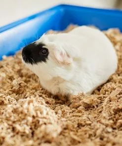 Frisco Corner Litter Box, Navy, Small + Small Animal Bedding, Natural -Pet Food Gear Shop 301910 PT8. SY630 V1644965804