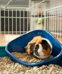 Frisco Corner Litter Box, Navy, X-Small + Small Animal Bedding, Natural -Pet Food Gear Shop 301916 PT3. SY630 V1644971631