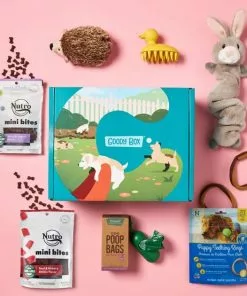 Goody Box||Frisco Goody Box Puppy Toys, Treats & Potty Training + Frisco Training & Potty Pads, 22 x 23-in 16 Goody Box||Frisco Goody Box Puppy Toys, Treats & Potty Training + Frisco Training & Potty Pads, 22 x 23-in -Pet Food Gear Shop 301960 PT5. SY630 V1658256765