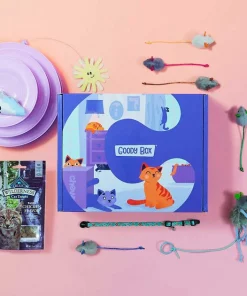 Goody Box||Frisco Goody Box Kitten Toys & Treats + Frisco Multi-Cat Unscented Clumping Clay Cat Litter -Pet Food Gear Shop 301962 PT2. SY630 V1622820745