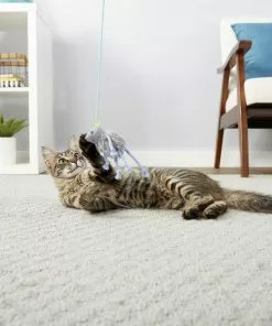 Goody Box||Frisco Goody Box Kitten Toys & Treats + Frisco Multi-Cat Unscented Clumping Clay Cat Litter -Pet Food Gear Shop 301962 PT3. SY630 V1622821958