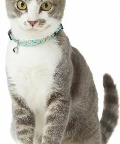 Goody Box||Frisco Goody Box Kitten Toys & Treats + Frisco Multi-Cat Unscented Clumping Clay Cat Litter -Pet Food Gear Shop 301962 PT4. SY630 V1622824042