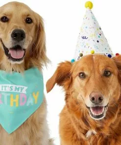 Frisco Birthday Bandana + Confetti Dog & Cat Hat -Pet Food Gear Shop 302368 PT4. SY630 V1633057886