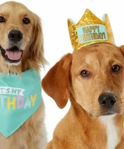 Frisco Birthday Bandana, X-Small/Small + Dog & Cat Crown, X-Small/Small 13 Frisco Birthday Bandana, X-Small/Small + Dog & Cat Crown, X-Small/Small -Pet Food Gear Shop 302372 PT2. SY630 V1633071996