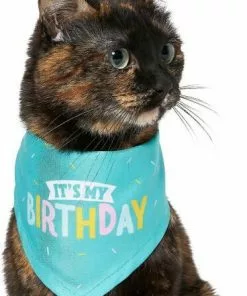 Frisco Birthday B&ana, X-Small/Small + Dog & Cat Hat, X-Small/Small 14 Frisco Birthday B&ana, X-Small/Small + Dog & Cat Hat, X-Small/Small -Pet Food Gear Shop 302374 PT3. SY630 V1633076486