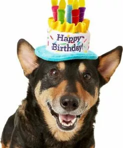 Frisco Birthday B&ana, X-Small/Small + Dog & Cat Hat, X-Small/Small 15 Frisco Birthday B&ana, X-Small/Small + Dog & Cat Hat, X-Small/Small -Pet Food Gear Shop 302374 PT4. SY630 V1633078001