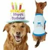 Frisco Birthday Cake Hat, Medium/Large + Dog & Cat T-Shirt, Blue -Pet Food Gear Shop 302376 MAIN. SY630 V1623052351