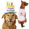 Frisco Birthday Cake Hat, Medium/Large + Dog & Cat T-Shirt, Pink