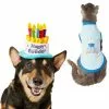 Frisco Birthday Cake Hat, X-Small/Small + Dog & Cat T-Shirt, Blue