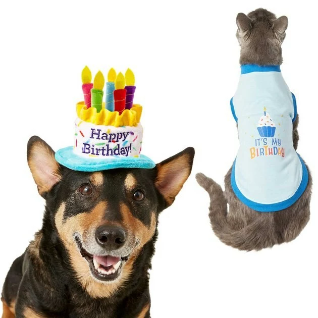 Frisco Birthday Cake Hat, X-Small/Small + Dog & Cat T-Shirt, Blue 3 Frisco Birthday Cake Hat, X-Small/Small + Dog & Cat T-Shirt, Blue