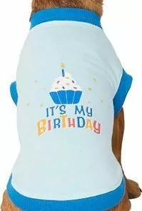 Frisco Birthday Cake Hat, X-Small/Small + Dog & Cat T-Shirt, Blue 16 Frisco Birthday Cake Hat, X-Small/Small + Dog & Cat T-Shirt, Blue -Pet Food Gear Shop 302392 PT5. SY630 V1623050245
