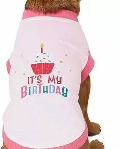 Frisco Birthday Cake Hat, X-Small/Small + Dog & Cat T-Shirt, Pink -Pet Food Gear Shop 302396 PT5. SY630 V1623045145