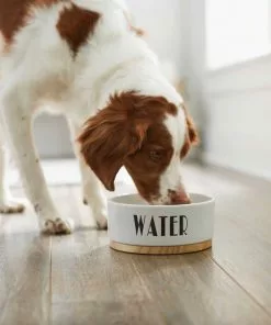 Frisco Ceramic Bowl with Wood Base, 2.5 Cups + Treat Jar, 4 Cups -Pet Food Gear Shop 302412 PT3. SY630 V1623071551