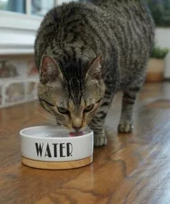 Frisco Ceramic Dog & Cat Water + Food Bowl with Wood Base 13 Frisco Ceramic Dog & Cat Water + Food Bowl with Wood Base -Pet Food Gear Shop 302414 PT3. SY630 V1623051143