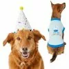 Frisco Confetti Birthday Hat, Medium/Large + Dog & Cat T-Shirt, Blue -Pet Food Gear Shop 302428 MAIN. SY630 V1623064656