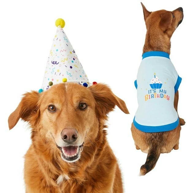 Frisco Confetti Birthday Hat, Medium/Large + Dog & Cat T-Shirt, Blue 3 Frisco Confetti Birthday Hat, Medium/Large + Dog & Cat T-Shirt, Blue