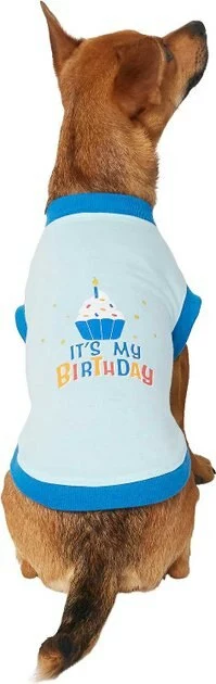 Frisco Confetti Birthday Hat, Medium/Large + Dog & Cat T-Shirt, Blue 8 Frisco Confetti Birthday Hat, Medium/Large + Dog & Cat T-Shirt, Blue - Image 6