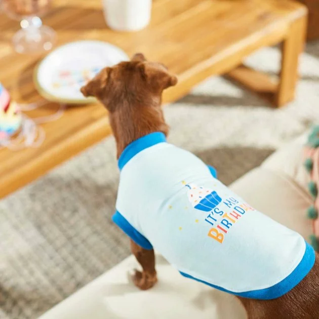 Frisco Confetti Birthday Hat, Medium/Large + Dog & Cat T-Shirt, Blue 10 Frisco Confetti Birthday Hat, Medium/Large + Dog & Cat T-Shirt, Blue - Image 8