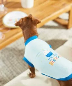 Frisco Confetti Birthday Hat, Small/Medium + Dog & Cat T-Shirt, Blue -Pet Food Gear Shop 302442 PT7. SY630 V1623067948