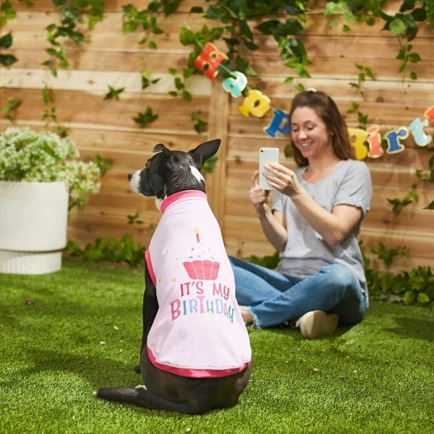 Frisco Confetti Birthday Hat, Small/Medium + Dog & Cat T-Shirt, Pink 10 Frisco Confetti Birthday Hat, Small/Medium + Dog & Cat T-Shirt, Pink - Image 8