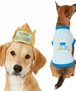 Frisco Happy Birthday Crown, Medium/Large + Dog & Cat T-Shirt, Blue