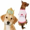 Frisco Happy Birthday Crown, Medium/Large + Dog & Cat T-Shirt, Pink