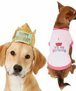Frisco Happy Birthday Crown, Medium/Large + Dog & Cat T-Shirt, Pink