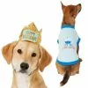 Frisco Happy Birthday Crown, X-Small/Small + Dog & Cat T-Shirt, Blue -Pet Food Gear Shop 302470 MAIN. SY630 V1623076950