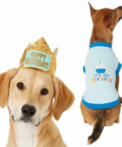Frisco Happy Birthday Crown, X-Small/Small + Dog & Cat T-Shirt, Blue