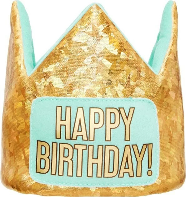 Frisco Happy Birthday Crown, X-Small/Small + Dog & Cat T-Shirt, Blue 4 Frisco Happy Birthday Crown, X-Small/Small + Dog & Cat T-Shirt, Blue - Image 2