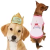 Frisco Happy Birthday Crown, X-Small/Small + Dog & Cat T-Shirt, Pink