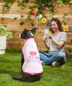 Frisco Happy Birthday Crown, X-Small/Small + Dog & Cat T-Shirt, Pink -Pet Food Gear Shop 302474 PT7. SY630 V1623078155