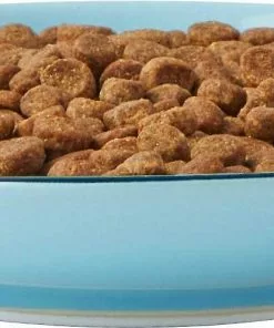 Frisco New York Non-skid Ceramic Dish, 0.50 Cup + Cat Bowl, 1.50 Cups -Pet Food Gear Shop 302488 PT2. SY630 V1623059244