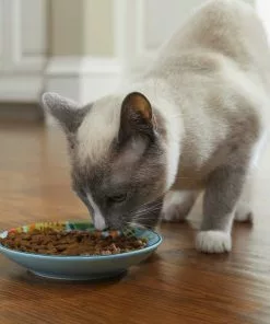 Frisco New York Non-skid Ceramic Dish, 0.50 Cup + Cat Bowl, 1.50 Cups -Pet Food Gear Shop 302488 PT4. SY630 V1623069142