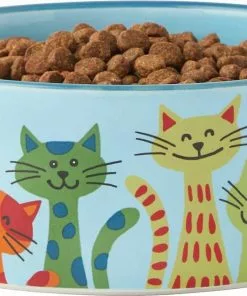 Frisco New York Non-skid Ceramic Dish, 0.50 Cup + Cat Bowl, 1.50 Cups -Pet Food Gear Shop 302488 PT6. SY630 V1623041543