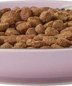 Frisco Paris Non-skid Ceramic Dish, 0.50 Cup + Cat Dish, 1.50 Cup -Pet Food Gear Shop 302490 PT2. SY630 V1623058041