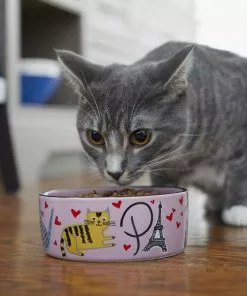 Frisco Paris Non-skid Ceramic Dish, 0.50 Cup + Cat Dish, 1.50 Cup -Pet Food Gear Shop 302490 PT8. SY630 V1623043046