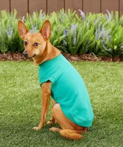 Frisco Basic Dog & Cat T-Shirt, Pink + Teal -Pet Food Gear Shop 302638 PT7. SY630 V1623049944