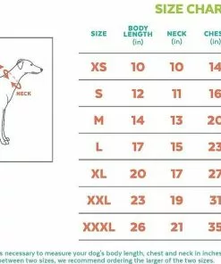 Frisco Basic Dog & Cat T-Shirt, Pink + Teal -Pet Food Gear Shop 302638 PT8. SY630 V1623040363